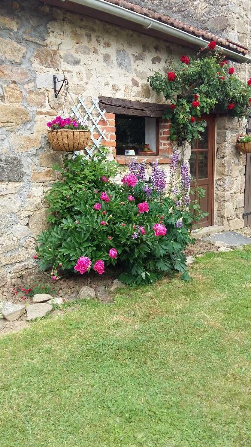 Le Cosy Holiday home Saint-Yrieix-la-Perche